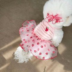 Cat Clothes Pet Yarn Skirt Teddy Pomeranian Bears VIP Yorkshire Schnauzer Small Dog Sheer