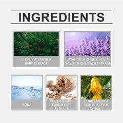 Eau De Toilette, Warm Wood Scent Charming Floral Fragrance Fresh Natural Fragrance Fragrance Lasting Fragrance