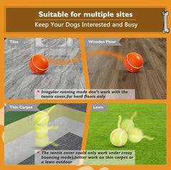SmartRoll Pet Ball