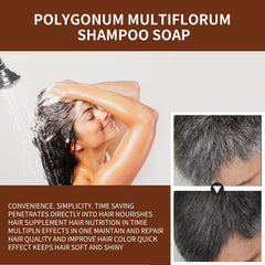 Polykum Multiflorum Repair Shampoo Natural Black Hair Moisturizing And Smoothing Shampoo