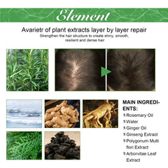 Hair Care Oil, Repair Damage Improve Dry Hair Prevent Hair Loss And Smooth Essential Oil