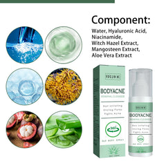 Body Acne Removal Cleanser Spray, Deep Clean Back Arm Fade Acne Beauty Moisturizing Spray
