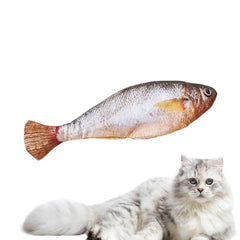 Floppy Fish PlayMate