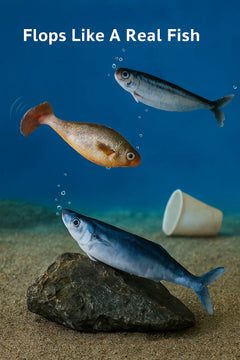 Floppy Fish PlayMate