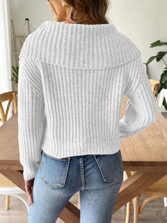 New autumn and winter large collar pullover sweater